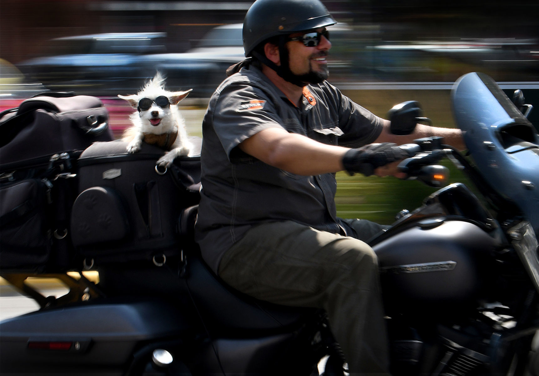 Watson and Jasper out for a ride
